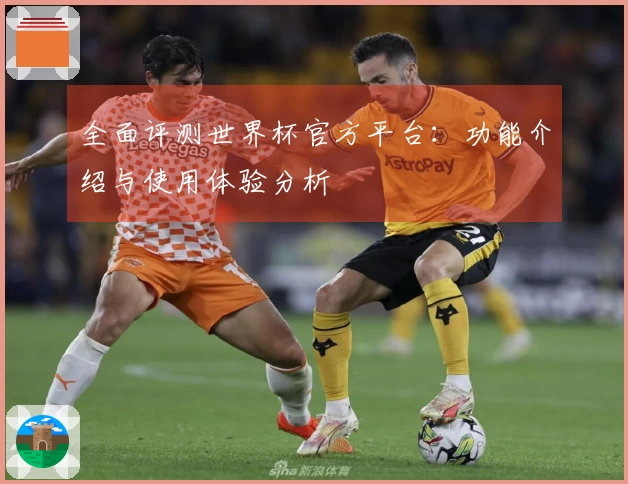 全面评测世界杯官方平台：功能介绍与使用体验分析