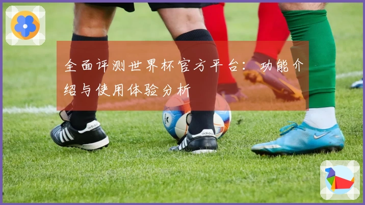 全面评测世界杯官方平台：功能介绍与使用体验分析