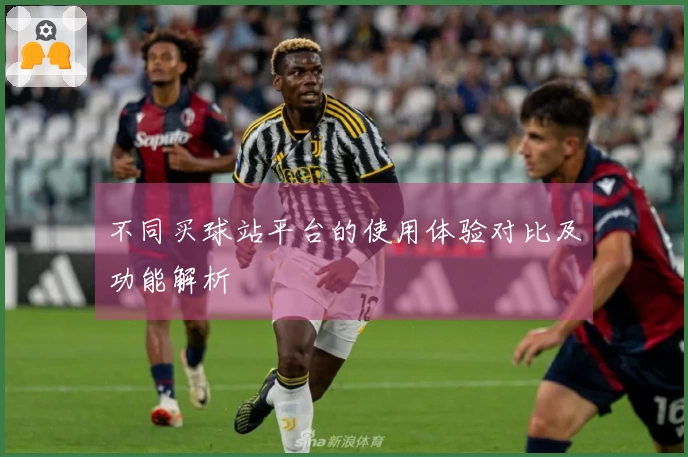 不同买球站平台的使用体验对比及功能解析